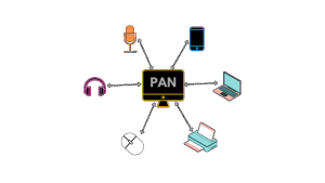 شبکه خصوصی خانگی pan